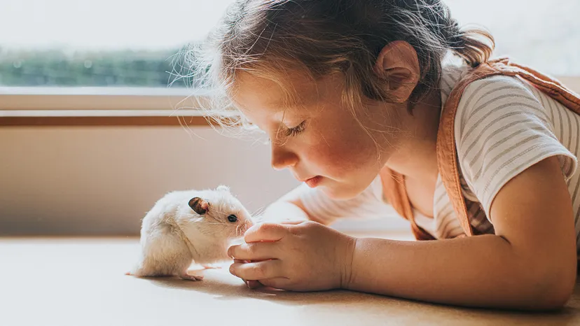 Pet Nutrition